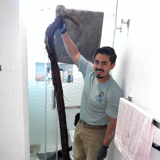 My Throne Plumbing a